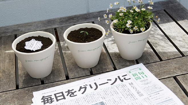 Japonya’nın ''çevreci'' gazetesi: Mainichi Shimbunsha