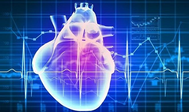Kalp Sağlığınız İçin Tüketebileceğiniz En İyi 14 Besin