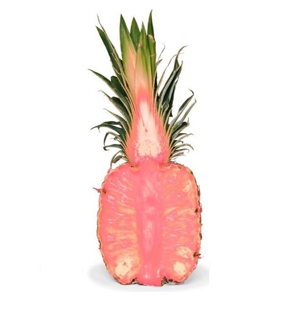 И пусть пока этот фрукт менее известен, чем, скажем, фиолетовый картофель и вышеупомянутые мини-киви, розовые ананасы, безусловно, реальны.