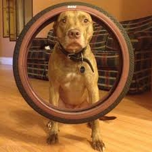 Evinizi düzenlerken her eşyayı başka bir eşyanın altına ya da üstüne koymayı hedefleyin! Üst üste dizmek motto'nuz olsun!