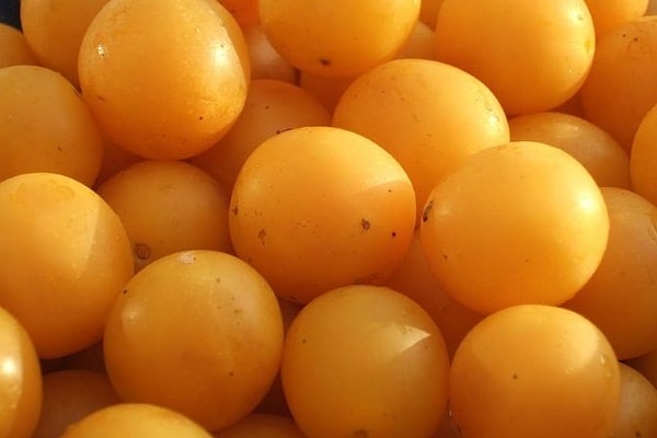 9. Сливы сорта Мирабель