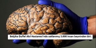 Geçtiğimiz Haftanın Mutlaka Görmeniz Gereken 19 Etkileyici Fotoğrafı