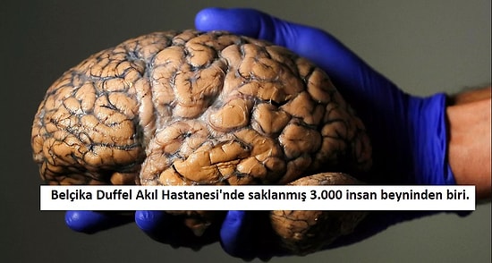 Geçtiğimiz Haftanın Mutlaka Görmeniz Gereken 19 Etkileyici Fotoğrafı