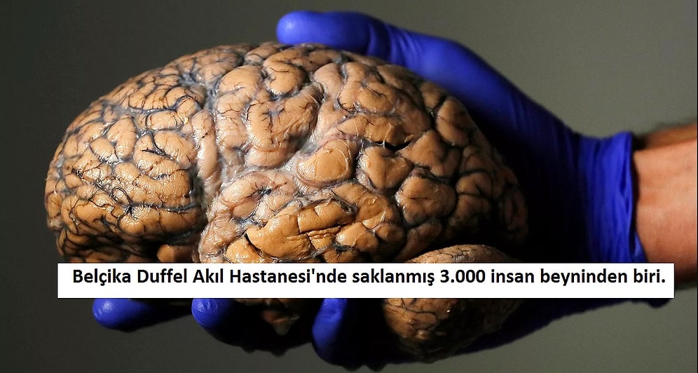 Geçtiğimiz Haftanın Mutlaka Görmeniz Gereken 19 Etkileyici Fotoğrafı