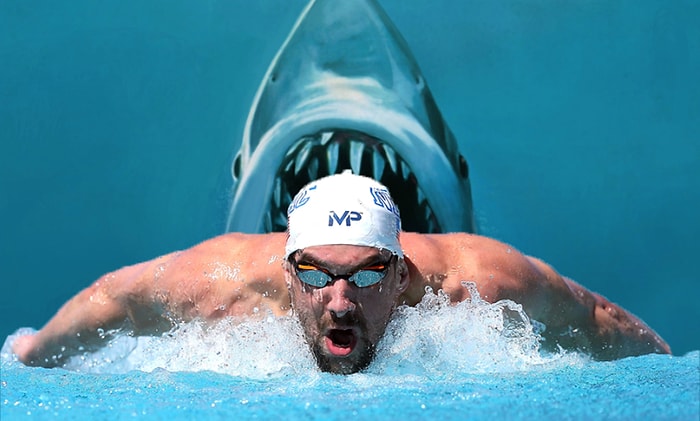 Michael Phelps'in Köpek Balığıyla Yarışması