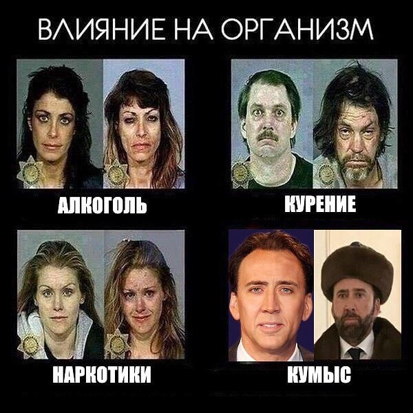 8. Вот что с людьми кумыс животворящий делает!