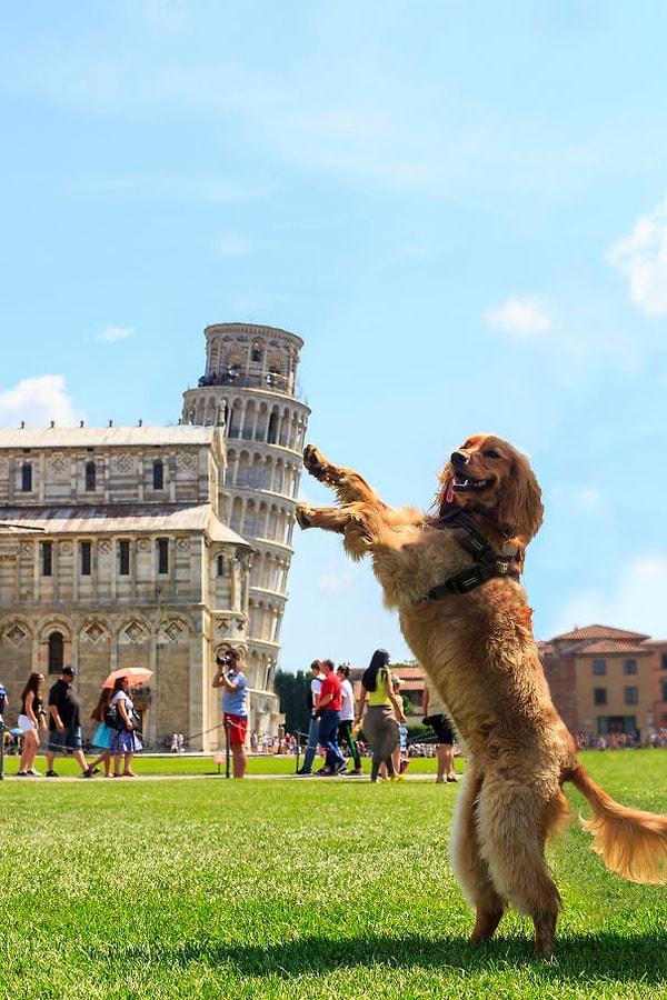 2. Alışılanın dışındaki eğikliği de Pisa Kulesi'ni epey özgün kılıyor.