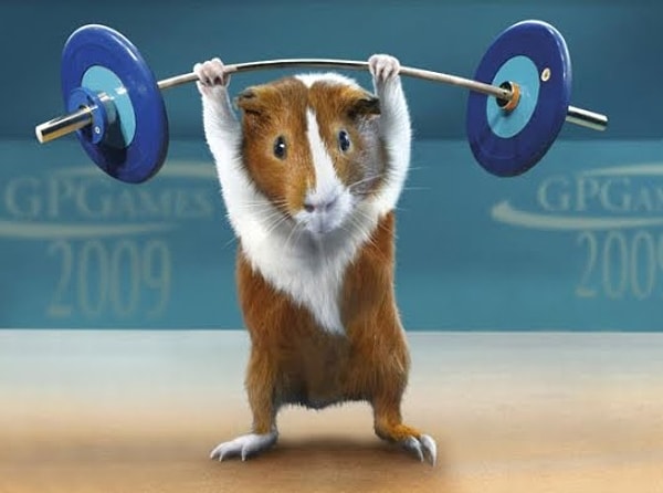 6. Каким видом спорта твой обожатель занимался в детстве?