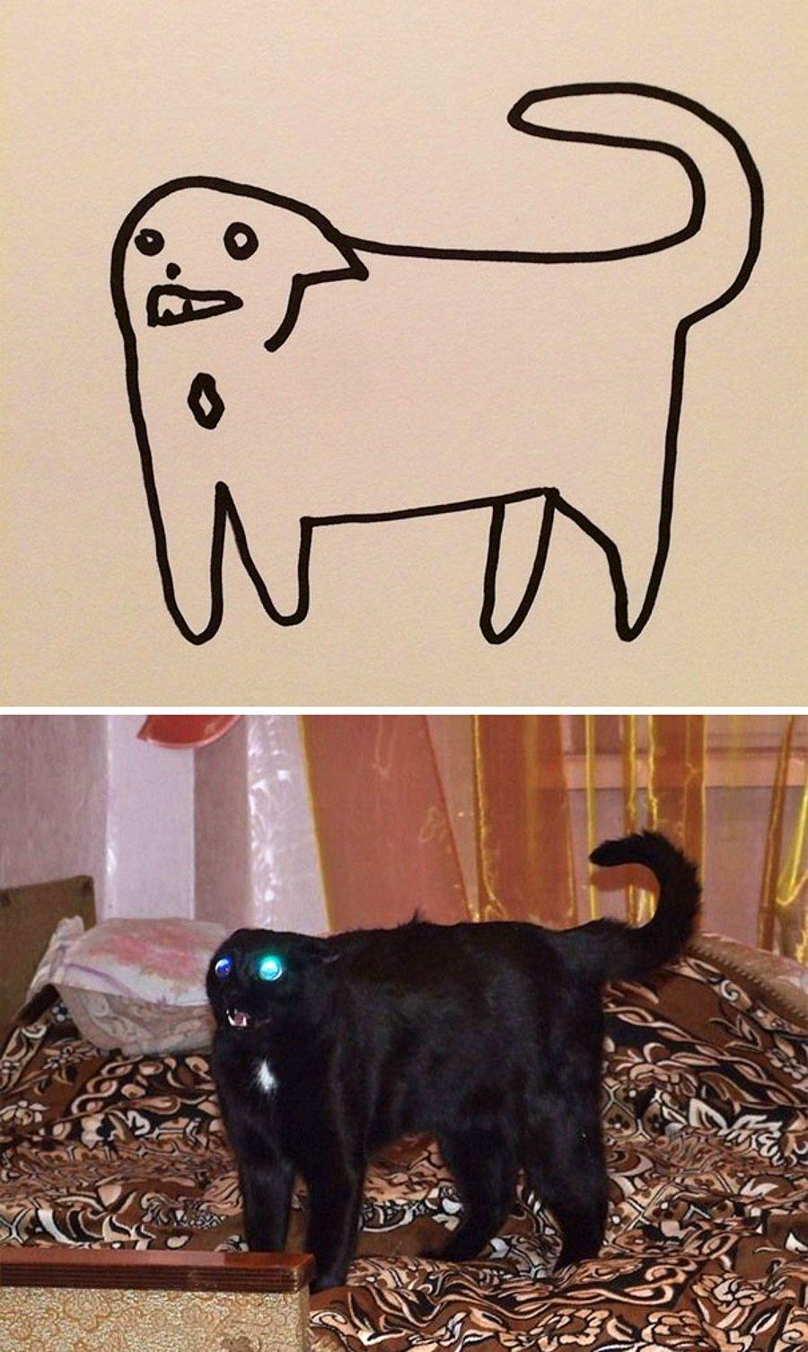 Мемы с нарисованным котом