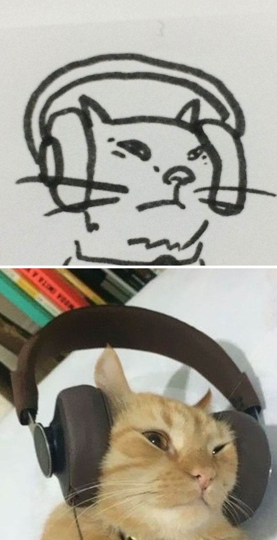 Мем с котом в наушниках