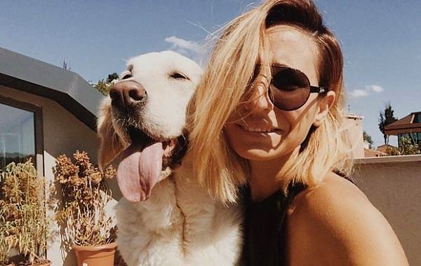 Konu, 8 yaşındaki 'Sushi' isimli köpeğin İDO’ya ait feribotta konulduğu kafeste ölmesiyle gündeme gelmiş ve tartışma yaratmıştı.