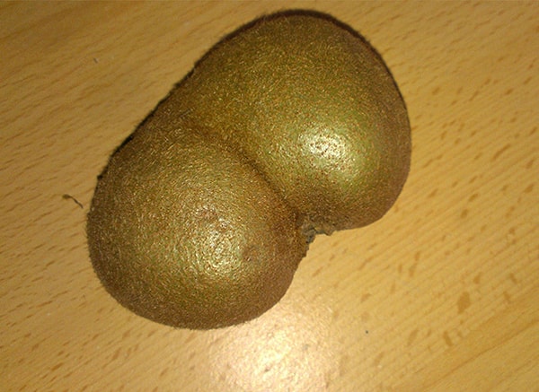 19. Двойной киви