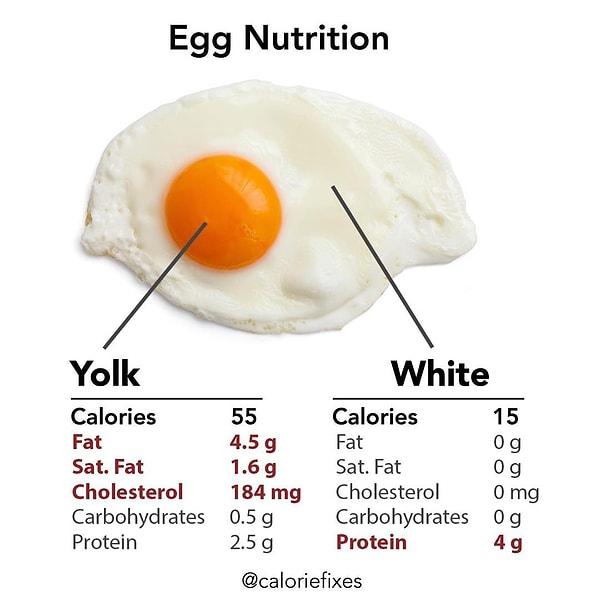 14. Yumurtanın akının ve sarısının besin değeri kıyaslaması