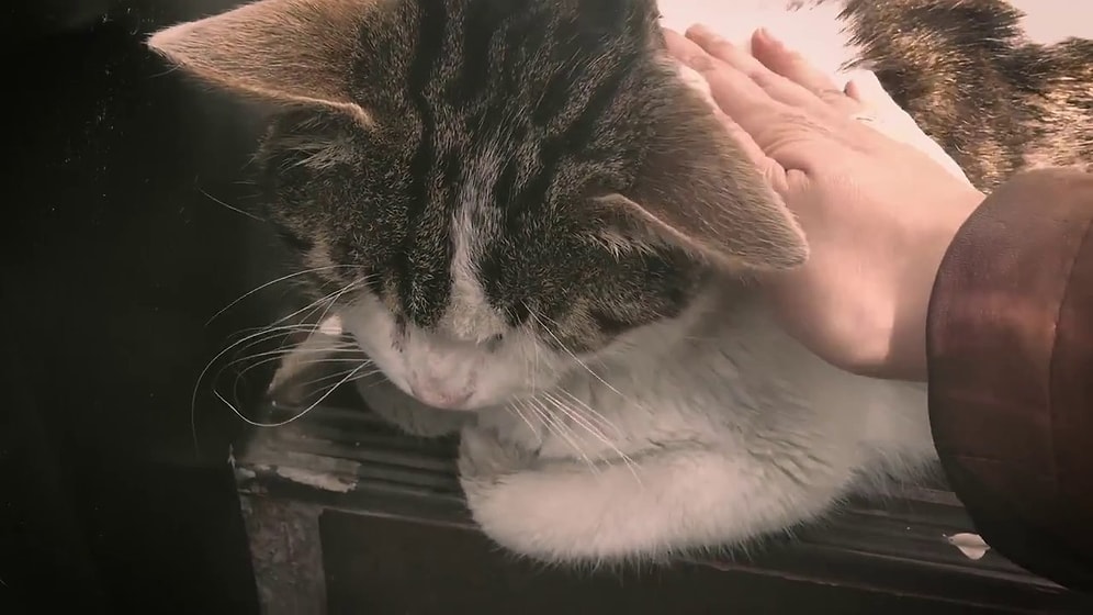 'Haydi Gel İçelim' Şarkısını Bir de Cazz Olarak Dinleyin!