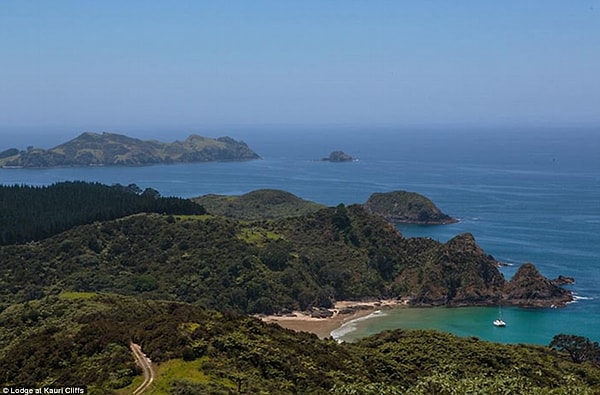 4. Kauri Tepeleri Oteli, Matauri Koyu, Yeni Zelanda