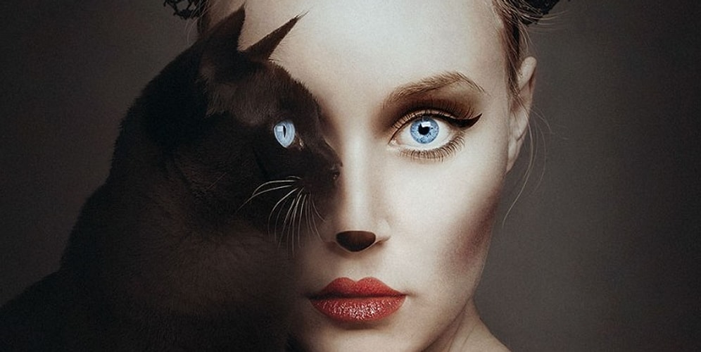 Тест: Узнайте, каким животным вы были в прошлой жизни?