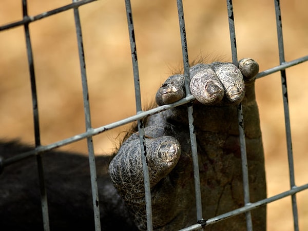 7. Посмотрите на это фото и выберите эмоцию, которую вы испытали