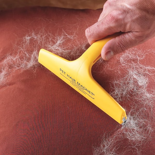 7. Чтобы очистить любимый диван от шерсти своих домашних любимцев, используйте резиновый скребок или латексные перчатки.