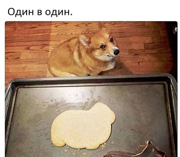 11. "Ты намекаешь на то, что я толстая?!"