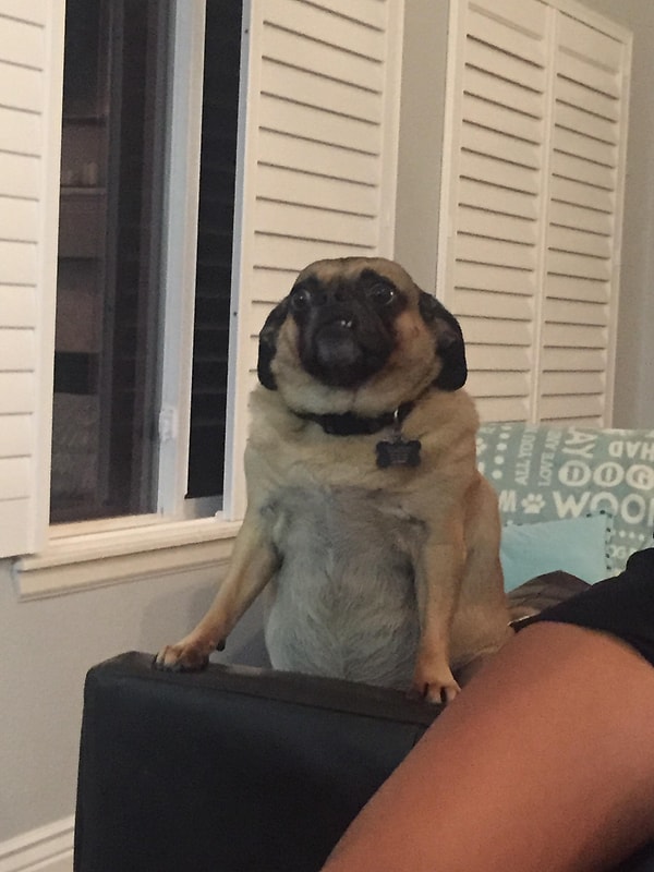 3. "Что вы там обо мне сказали?!"