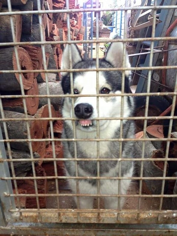 8. Вот это, я понимаю, побег из Шоушенка