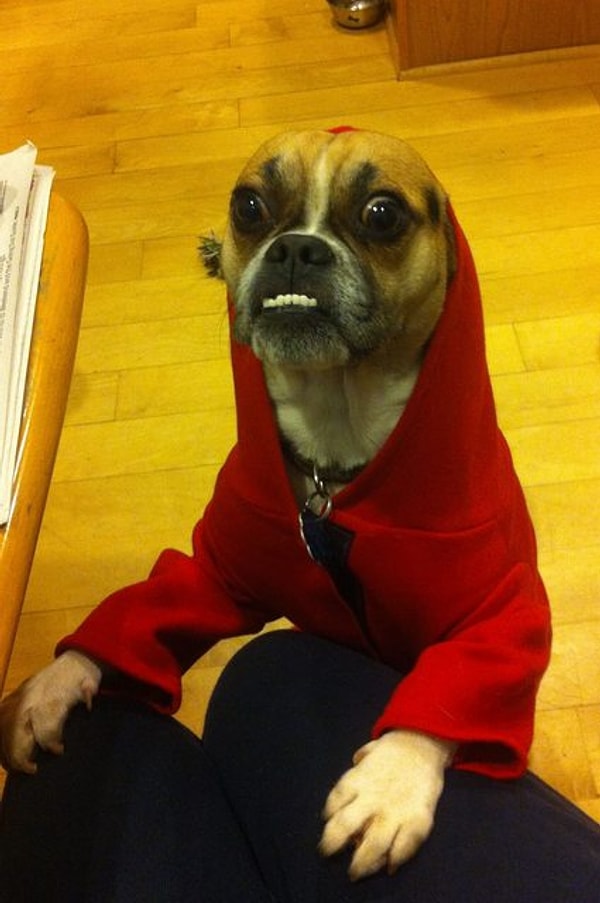 17. "Я видел некоторое..."