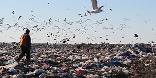 'Yiyin Efendiler Yiyin...' İnsanlık Bugünden İtibaren 2018'in Kaynaklarını Tüketmeye Başladı...