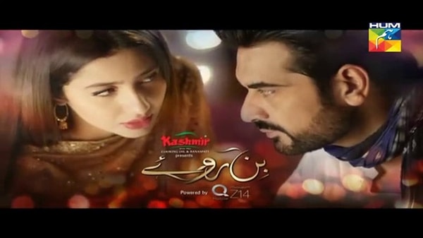 2.Bin Roye