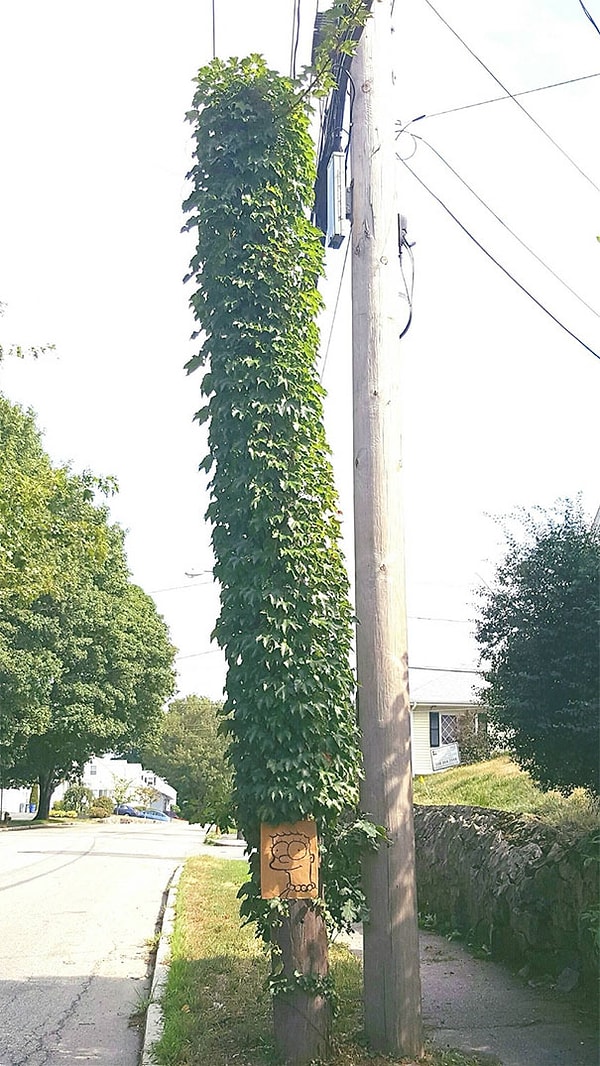 4. Это просто гениально!