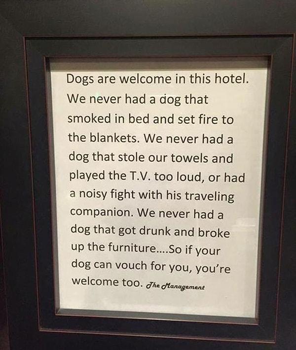 4. Köpekleri baş tacı yapan harika otelin yönetiminden bir mesaj: