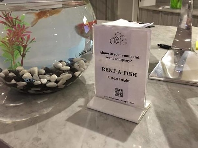 18. Geceyi odanızda yapayalnız geçirmek istemiyorsanız, otelin beslediği minnoş balıklardan kiralayabiliyorsunuz. 🐠🐡