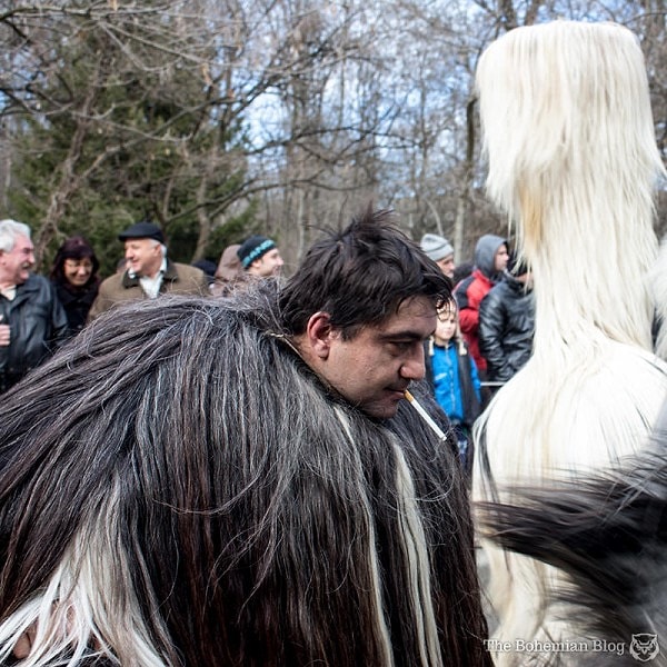 3. Некоторые историки полагают, что традиция восходит к Османским войнам в Европе - европейцы хотели напугать турецких завоевателей такими страшными костюмами – однако этот праздник гораздо старше, вероятно, он возник еще до начала миграции индоевропейцев по Европе.