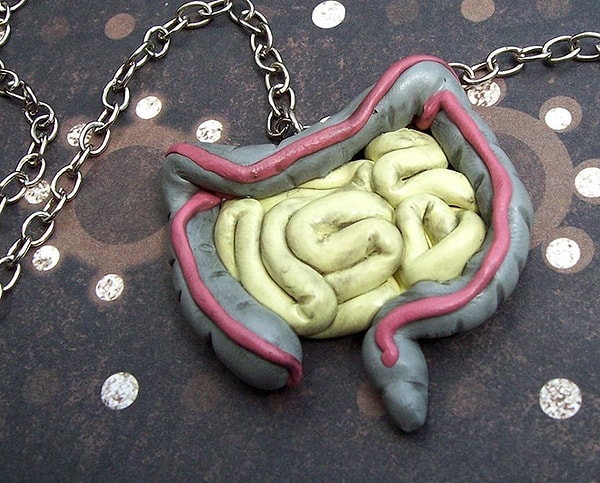 6. Колье в виде кишечника!