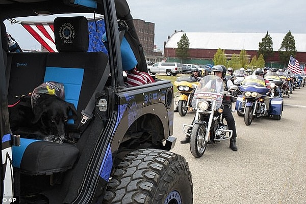 10. «Поддержка, любовь, которую дарят ему люди, – все это он видит и чувствует».