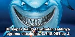 Okyanusun Korkulu Rüyaları: Köpek Balıkları Hakkında Daha Önce Duymadığınız 24 Gerçek