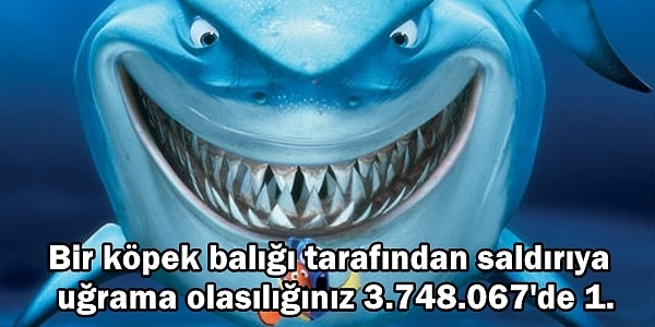 Okyanusun Korkulu Rüyaları: Köpek Balıkları Hakkında Daha Önce Duymadığınız 24 Gerçek