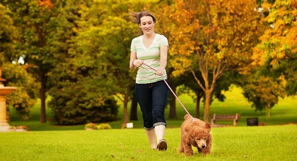 5. И последний вопрос. Что бы вы надели на прогулку?