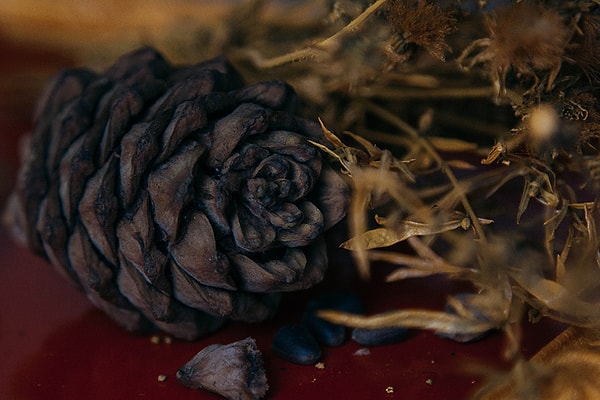 8. Кедровые орехи