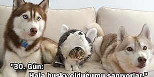 Ait Olmadıkları Ortama Ayak Uydurmanın Kitabını Yazmış 29 Numaracı