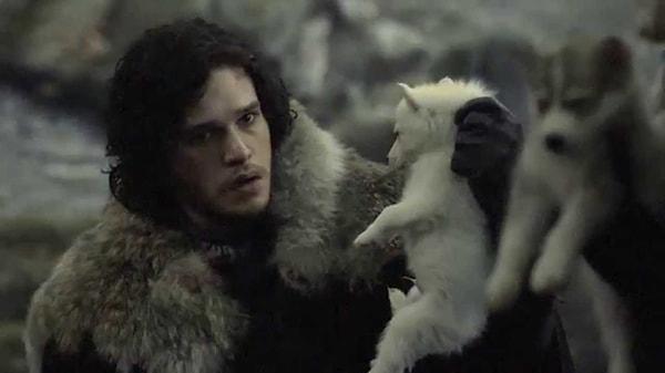 14. Jon Snow'un ulu kurdunun renginin farklı oluşu.