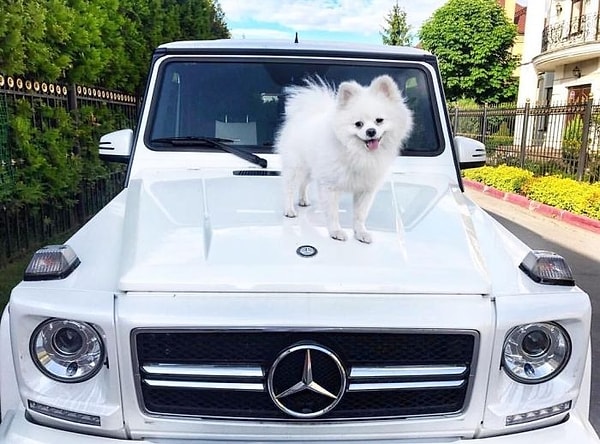 2. Например, показывая, что Mercedes-Benz - это то, что обязательно должно быть в семье каждого уважающего себя российского бизнесмена.