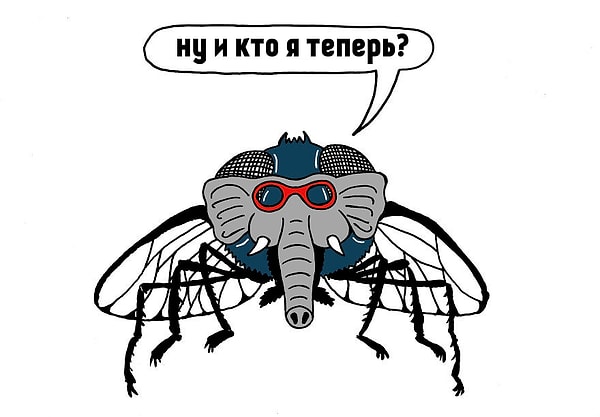 2. Валерий, ты делаешь из мухи слона!