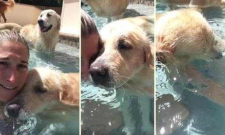İnsan Dostuyla Birlikte Suyun Altında Nefesiyle Baloncuk Çıkartan Köpek
