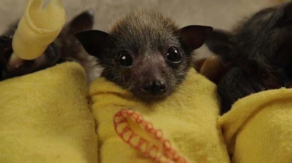 14. "А где же моя бутылочка?"