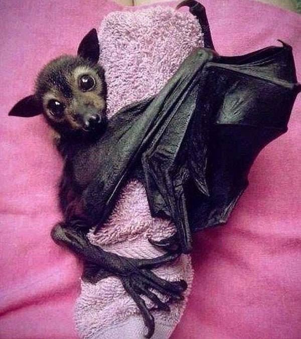 23. Когда твой лучший друг - полотенце