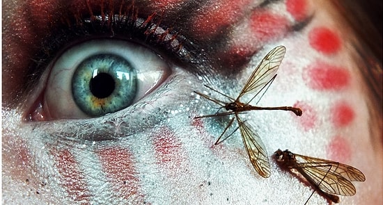 Если не сможете досмотреть эти фото до конца, у вас инсектофобия