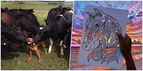 Onedio Instagram Hesabı İftiharla Sunar! Temmuz Ayının En Çok Beğenilen 23 Paylaşımı