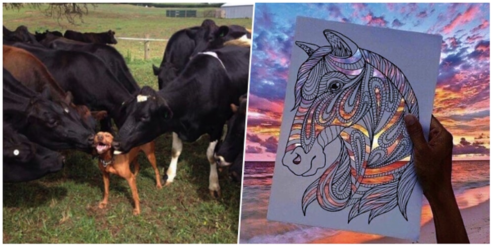 Onedio Instagram Hesabı İftiharla Sunar! Temmuz Ayının En Çok Beğenilen 23 Paylaşımı