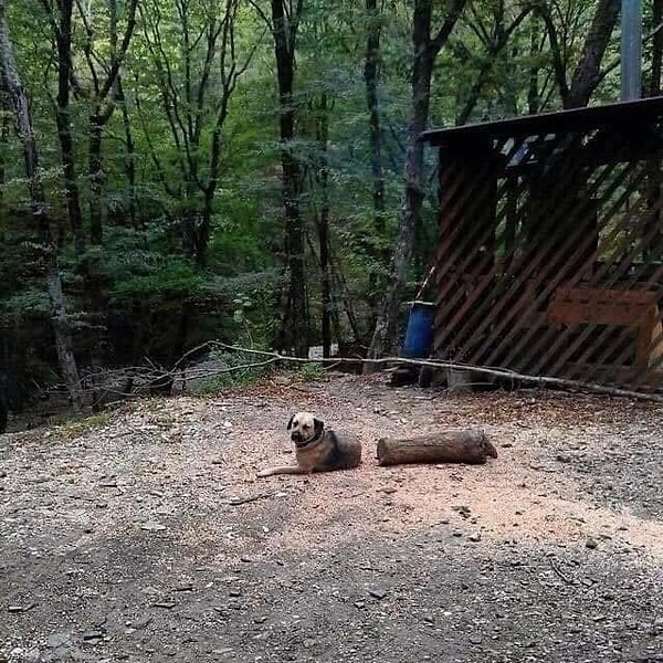 25. Показалось или нет?