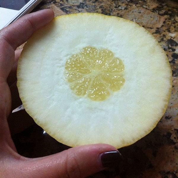 21. Bu bir limon.